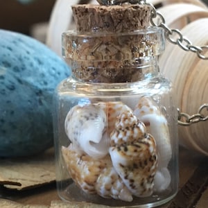 Handmade, Shells in a Bottle, Shell, Beach, Boho, Silver Chain, Glass Bottle, Apothecary Jar, Pendant, Necklace