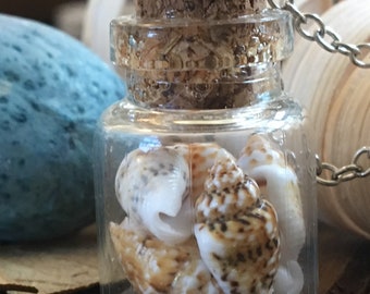 Handmade, Shells in a Bottle, Shell, Beach, Boho, Silver Chain, Glass Bottle, Apothecary Jar, Pendant, Necklace