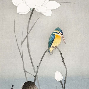Martin-pêcheur avec fleur de lotus - Ohara Koson - Carte de voeux
