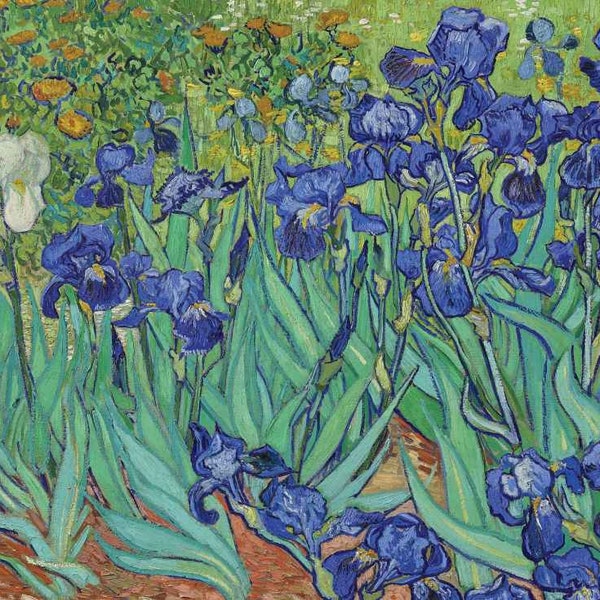 Irises - Vincent Van Gogh - Greetings Card