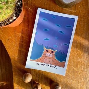 CARTE ufo cat