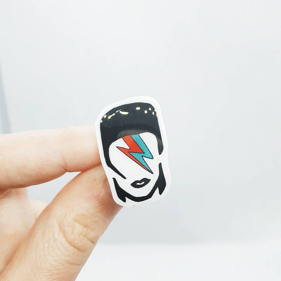 Pins DAVID BOWIE en plastique fou
