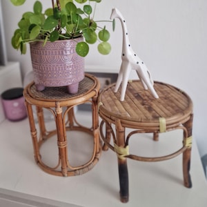 Op de afbeelding: Een kamerplant met ronde groene bladeren staat op een kleine, ronde tafel van geweven bamboe. Een wit giraffenbeeldje met zwarte stippen staat op een vergelijkbare tafel.