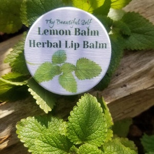 Lemon Balm Herbal lip balm, All natural
