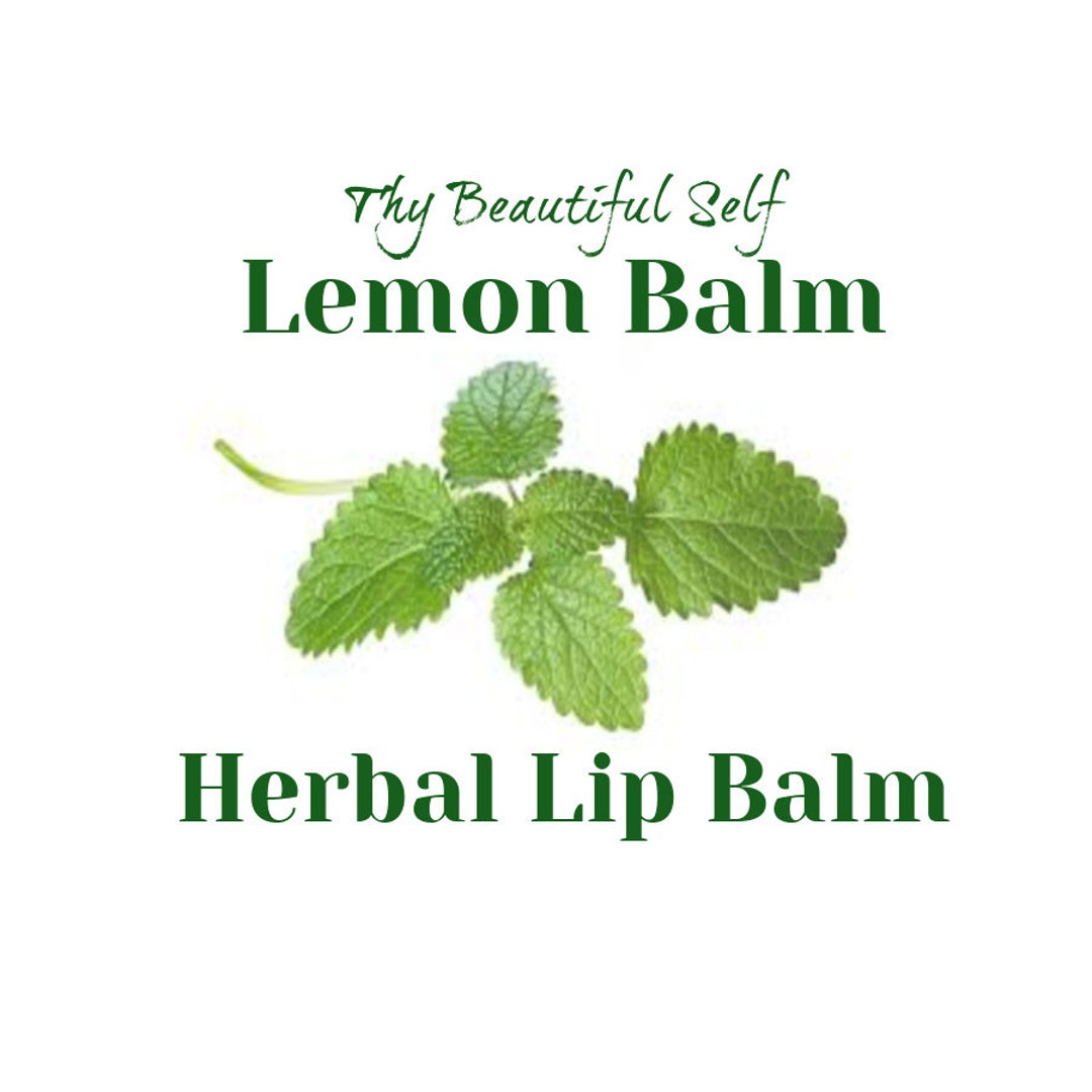 Lemon Balm Herbal Lip Balm Etsy