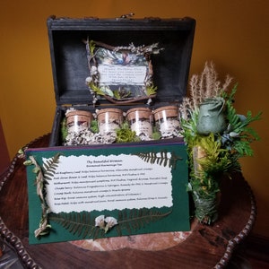 Boxed Tea Set with Herbal and Spiced Teas, Tea Lover,Gift Set,Tea