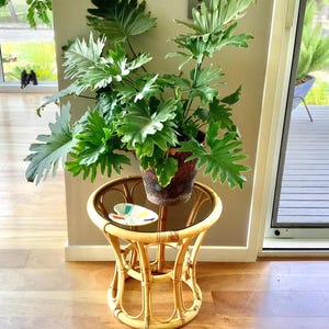 BAMBOO and CANE Plant Stand / STOOL / Occasional Table- Mid Century Bohemian