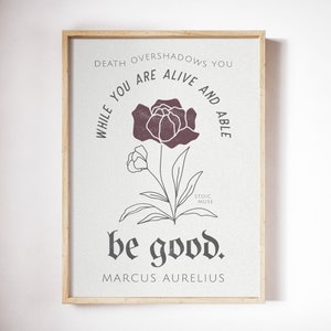 Marcus Aurelius Quote Print / Arte estoicismo / Galería Wall Set