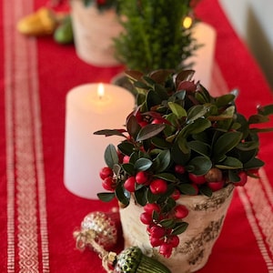 May include: A red table runner with white geometric patterns features three potted plants. The plants are in white ceramic pots with a birch bark texture. The plants have green leaves and red berries. There are three gold acorn ornaments on the table.