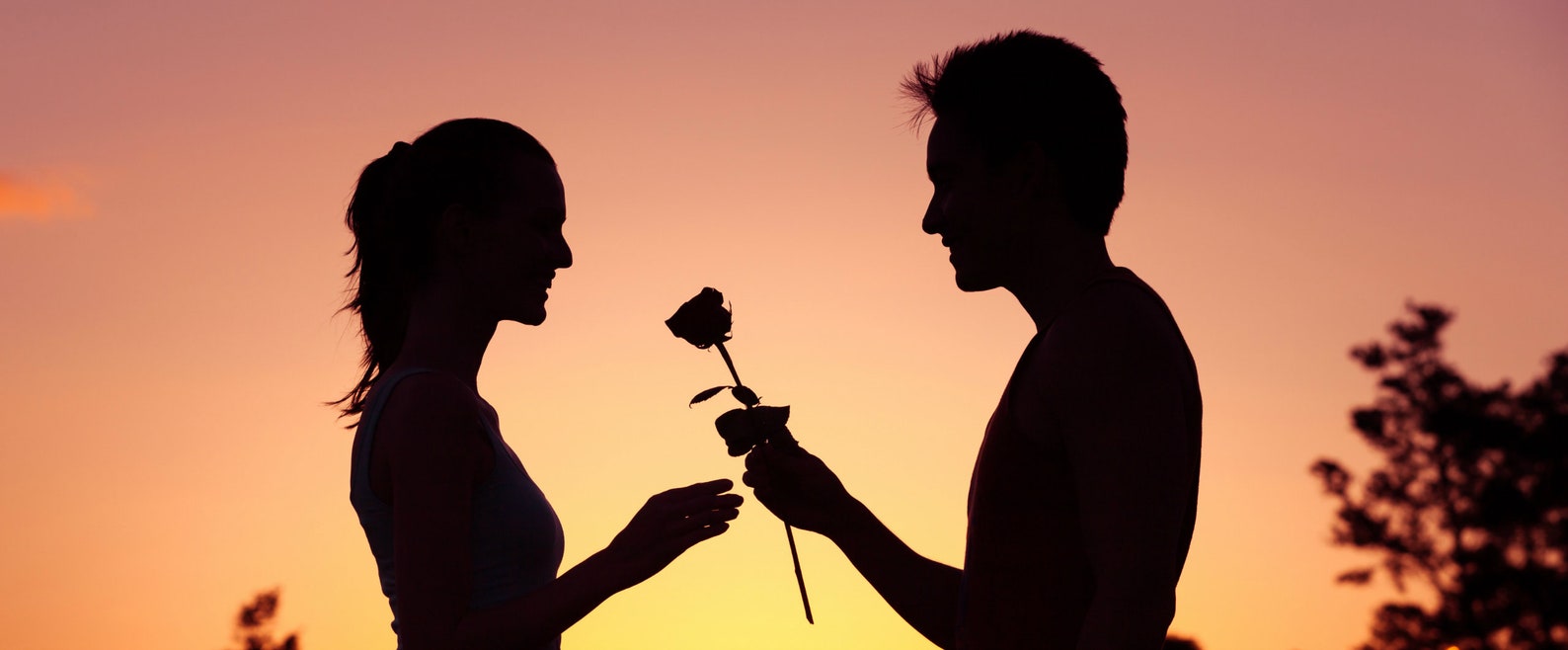 Потомки солнца дорама. Звёздные войны эпизод 5 люк и вейдер. Зои дешанель 500 дней лета. Lover. Back scene.