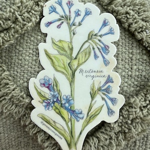 Virginia Bluebell Sticker
