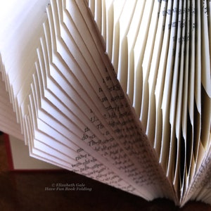 ZIGZAG Book Folding Pattern — 159 Folds (318 Numbered Pages). PDF ...