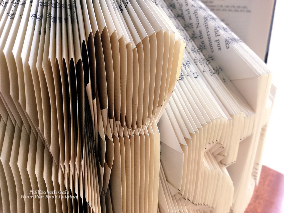 SISTER Book Folding Pattern 301 Folds 602 Numbered Pages. - Etsy