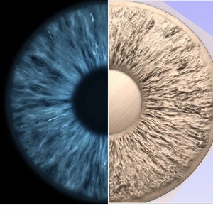 Puede incluir: Primer plano de un ojo azul con una pupila oscura. La imagen está dividida en dos, con el lado izquierdo mostrando el ojo con luz natural y el lado derecho mostrando un modelo 3D del ojo.