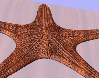 3D Seestern CNC Art Carving: STL Modell (Digitaler Download)