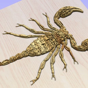 CNC 彫刻デジタル ファイル - スコーピオンの優雅さ: 内部のレントゲン構造を明らかにする、3D CNC アート