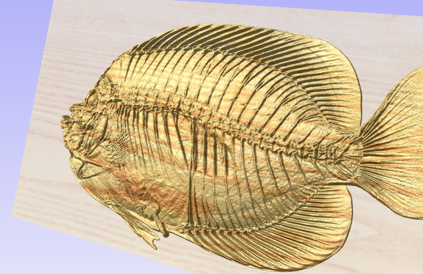 Wood Skeleton Fish 