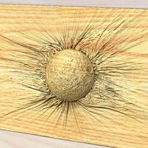 Puede incluir: Primer plano de una superficie de madera con un objeto circular, texturizado, de color marrón claro en el centro. La superficie es de color marrón claro con un patrón de veta. El objeto parece ser una esfera con una textura rugosa y desigual.