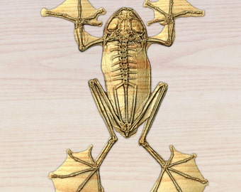 Fliegen Frosch Anatomie 3D STL Datei: CNC Carving Digital Download