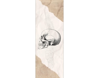 Anatomical Skull and Spine  Bookmark