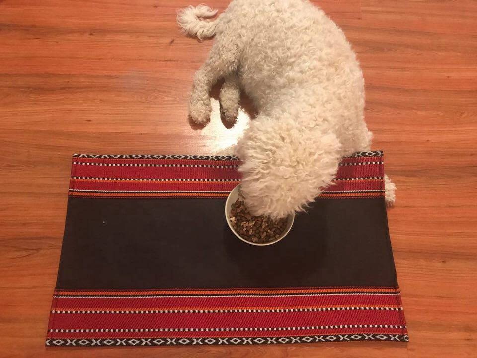 waterproof dog placemats