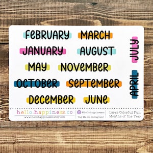 Large Months of the Year Stickers - Planner Typography Stickers - Colorful Fun Months