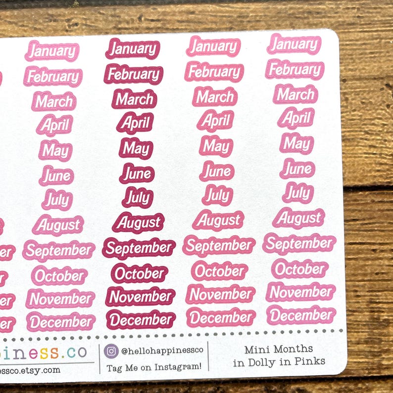 Mini Months of the Year Planner Stickers - Dollie in Pinks - Etsy