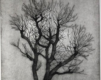 Drawing of a tree in black and white made from a drypoint engraving and printed by hand on an intaglio press