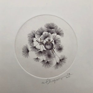 Original illustration of a dandelion seed made from a copper engraving, printed by hand on an intaglio press image 1