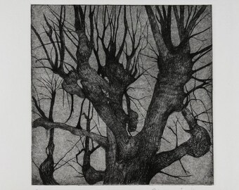 Drawing of a tree in black and white made from a dry point engraving and printed by hand on intaglio press