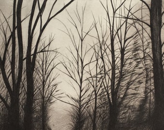 Original and unique painting of a forest landscape made from a burin engraving and printed by hand on an intaglio press