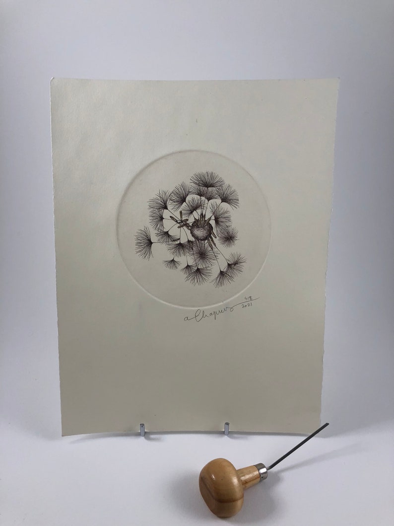 Original illustration of a dandelion seed made from a copper engraving, printed by hand on an intaglio press image 2