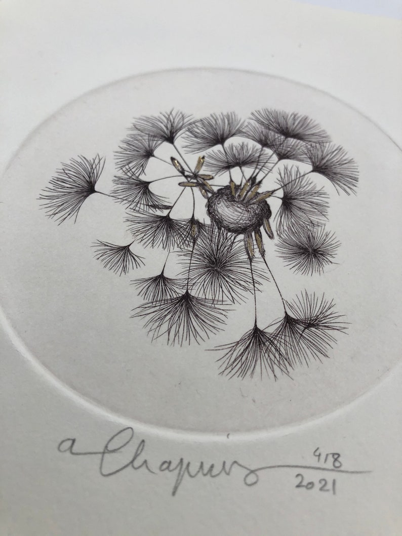 Original illustration of a dandelion seed made from a copper engraving, printed by hand on an intaglio press image 4