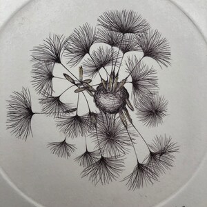 Original illustration of a dandelion seed made from a copper engraving, printed by hand on an intaglio press image 3