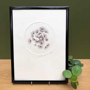 Original illustration of a dandelion seed made from a copper engraving, printed by hand on an intaglio press image 6