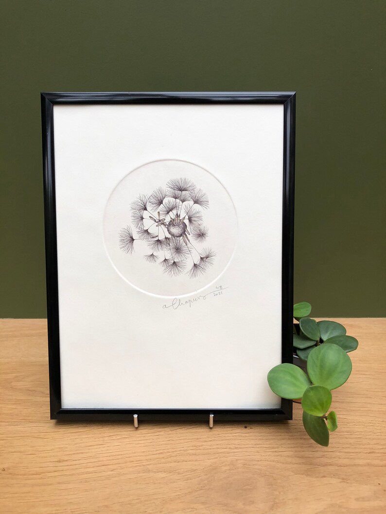 Original illustration of a dandelion seed made from a copper engraving, printed by hand on an intaglio press image 6