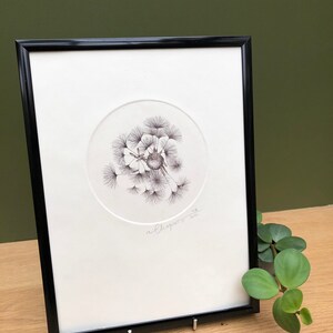 Original illustration of a dandelion seed made from a copper engraving, printed by hand on an intaglio press image 7