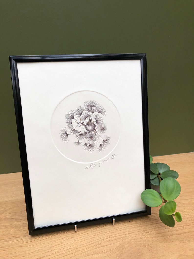 Original illustration of a dandelion seed made from a copper engraving, printed by hand on an intaglio press image 7