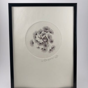 Originalillustration eines Löwenzahnsamens aus einem Kupferstich, von Hand auf einer Tiefdruckpresse gedruckt Bild 5