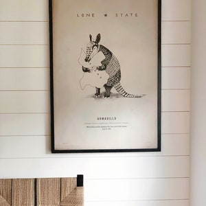 DIGITAL ART DOWNLOAD Lone Star Texas Armadillo