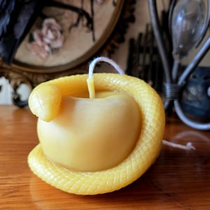Snake with Apple Tree of Knowledge Handmade Beeswax Candle