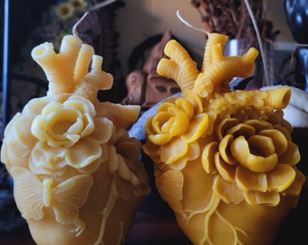 Anatomical Heart with Flowers and Butterflies Handmade Beeswax Candle