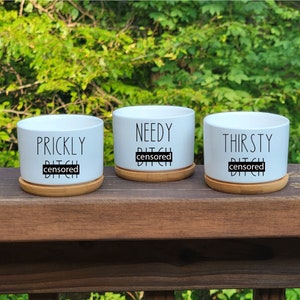 B*tches Succulent Planters, 3 Pack Funny Plant Pots, Mini 2inch Pot With Drainage Tray, Cute Cactus Pots, Punny Home Decor, Novelty Gift