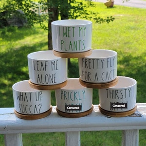 Funny Succulent Pots - Small Plant Pot With Bamboo Tray - Cute Cactus Planter- Housewarming Gift - Punny Succulent Pots - White Ceramic Pot