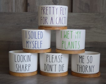 Funny Succulent Pots, Small Plant Pot With Bamboo Tray, Cute Coworker Gift, Desk Decor, Housewarming Gift, Punny Planter, White Ceramic Pot