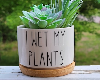 Funny I Wet My Plants Succulent Pot, Punny Planter, Mini 2inch Pot With Bamboo Drip Tray, Cute Cactus Planter, Ceramic PotHousewarming Gift