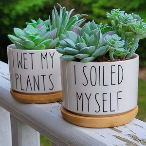 2 Pack Funny Succulent Planters, I Soiled Myself & I Wet My Plants, Small Pot With Drainage Tray, Cute Cactus Pots, Punny Housewarming Gift