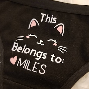 This Kitty Belongs To - This P*ssy Belongs To - Custom Thong- Funny Panties  - Custom Thong -Bachelorette Gift-Kitty Underwear-Sexy Lingerie