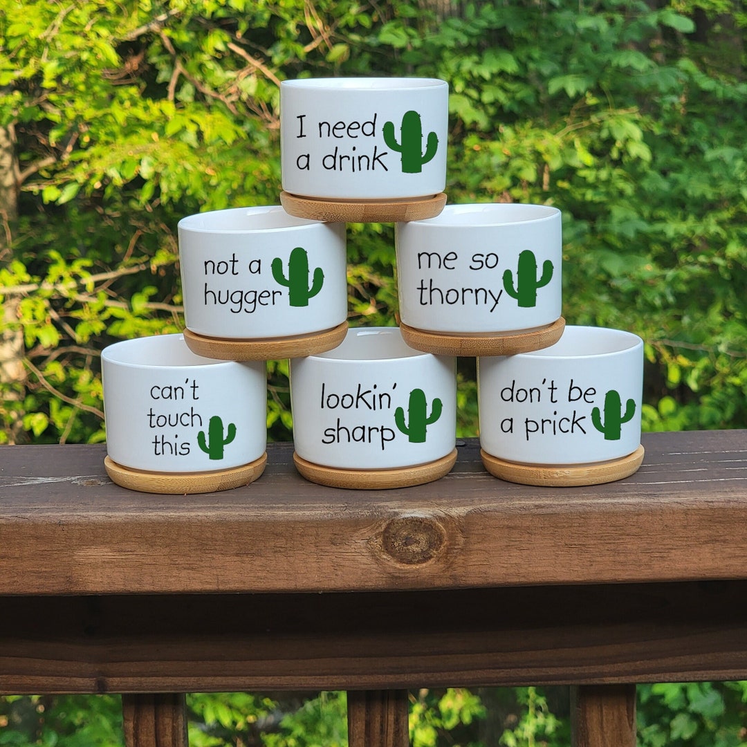 Funny Cactus Succulent Pots, Small Plant Pot With Tray - Cute Cactus ...