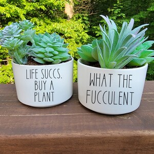Grumpy Succulent Planters Multipack, Funny Small Plant Pots With ...